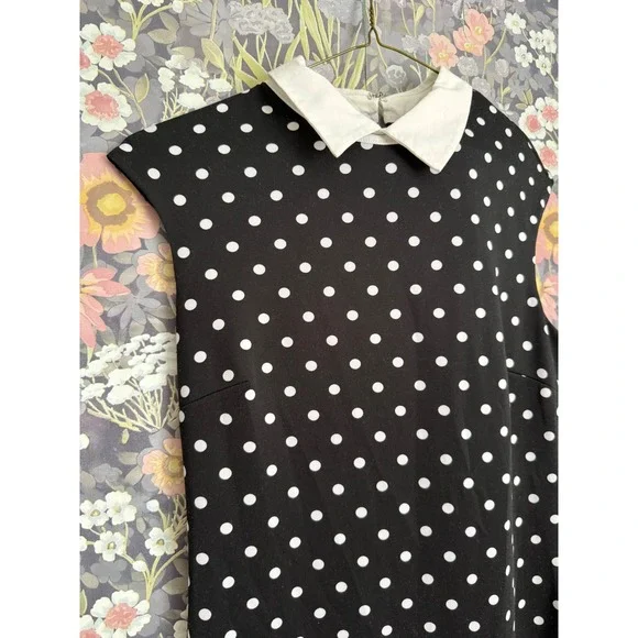 York & Company Black White Polka Dot Sheath Dress Collared Cap Sleeve Size S - Picture 5 of 7
